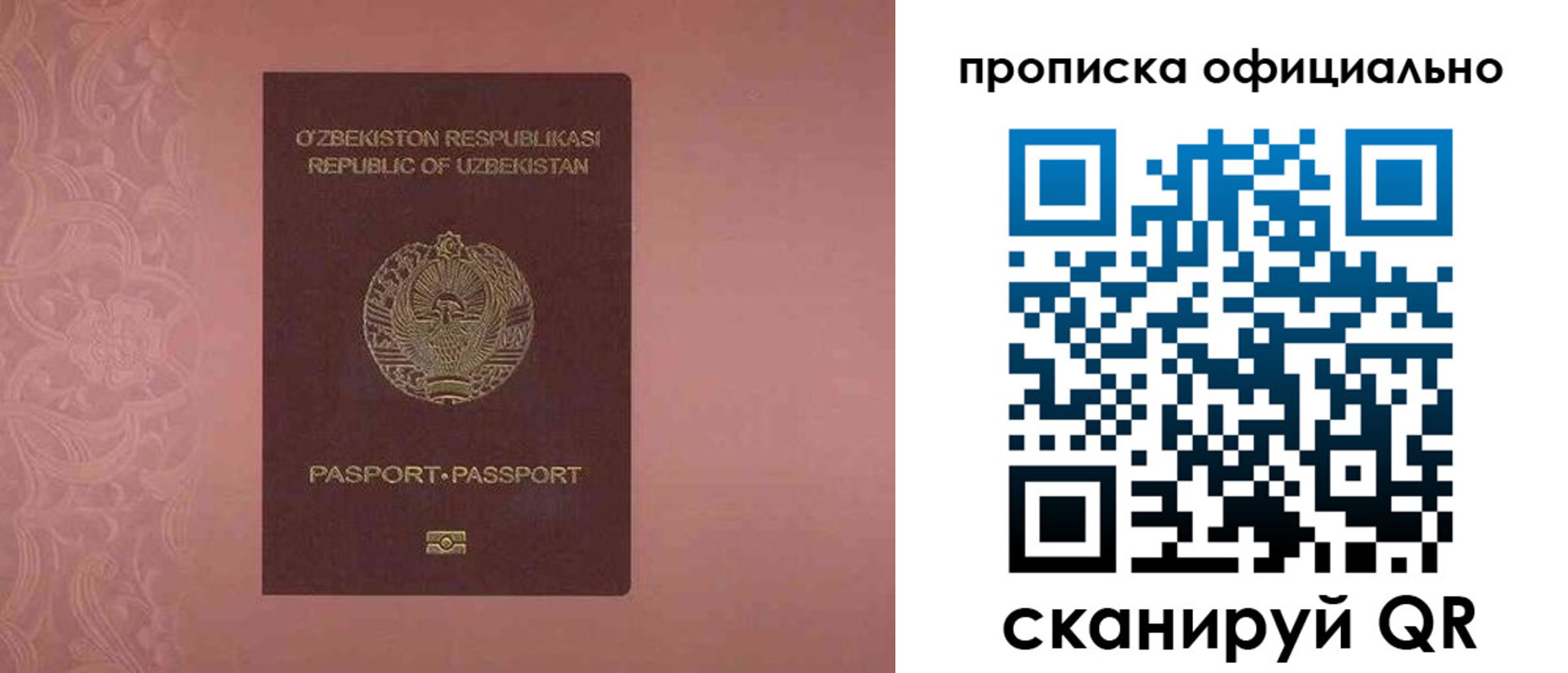 прописка для школы в Лисках